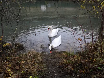 Füssen, Germany — 8 November 2018