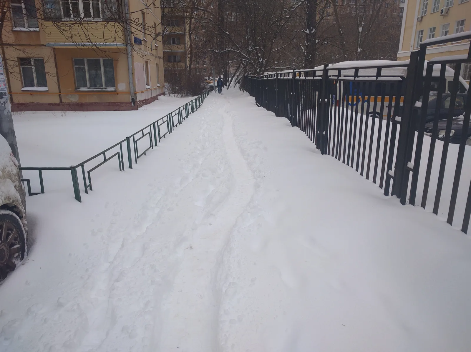 Photo from 2 March 2016