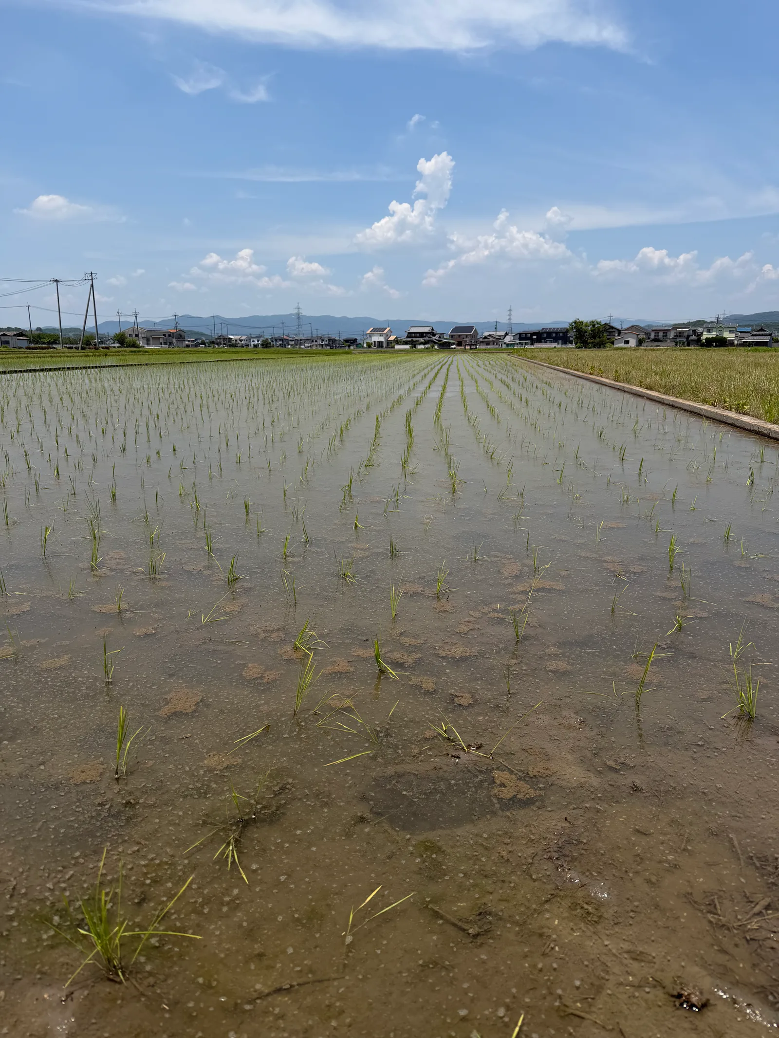 Hayashima, Japan — 13 June 2026