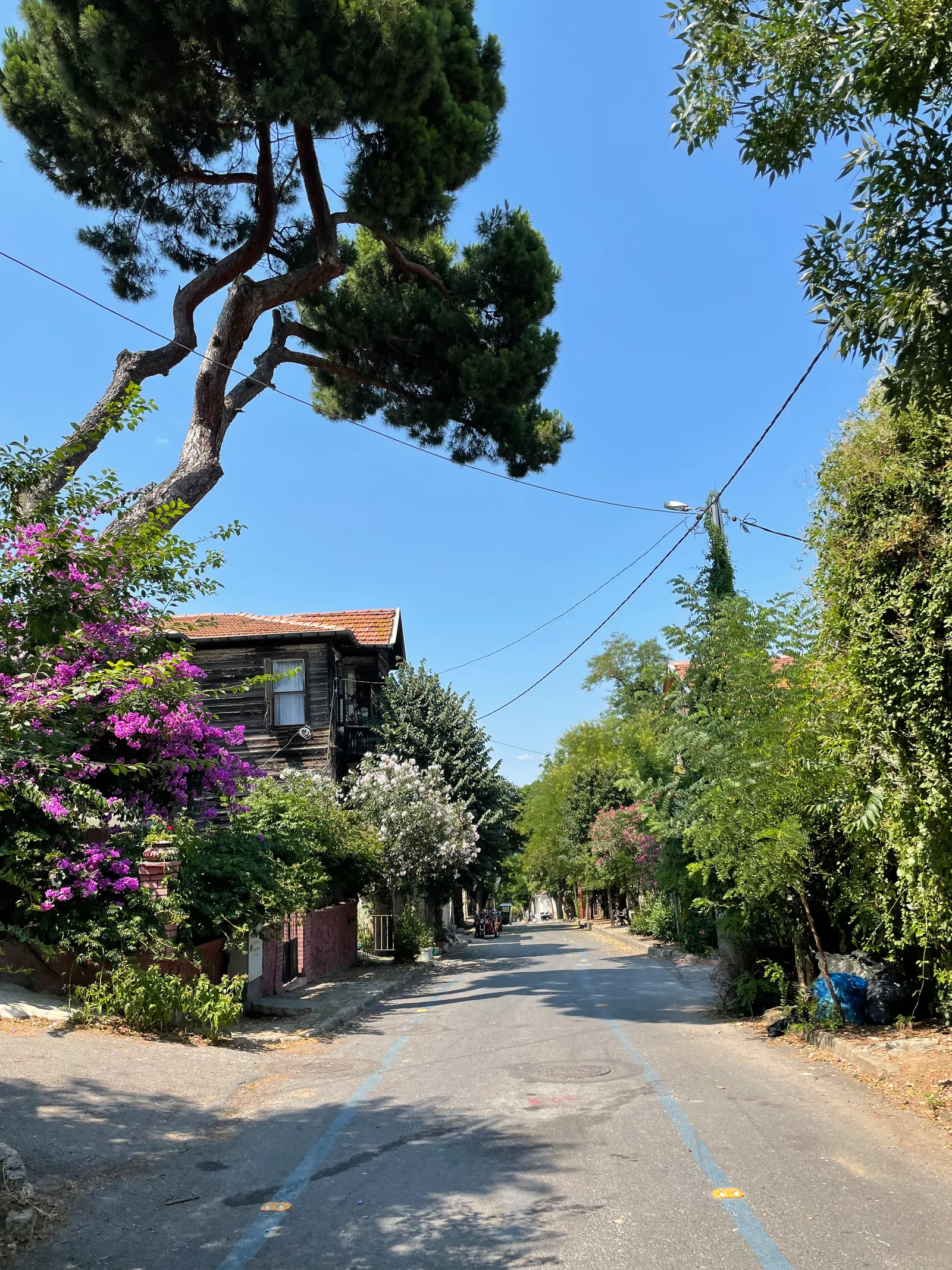 Adalar, Turkey — 26 July 2021