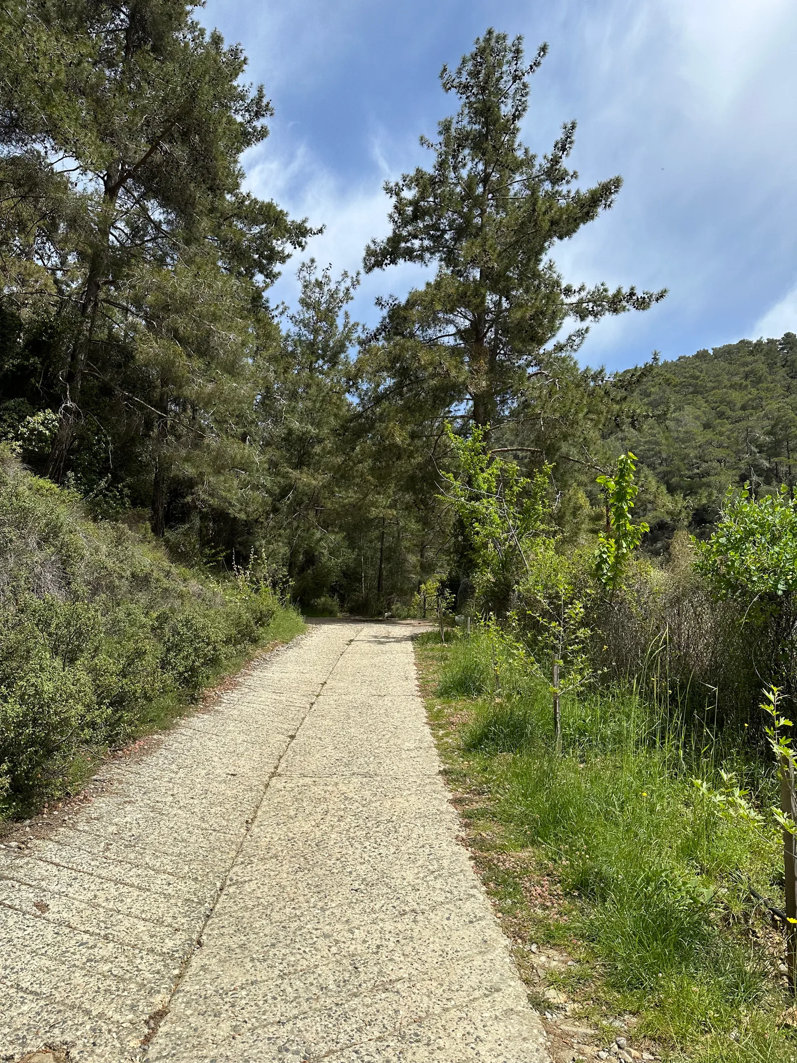 Tróodos, Cyprus — 5 May 2023