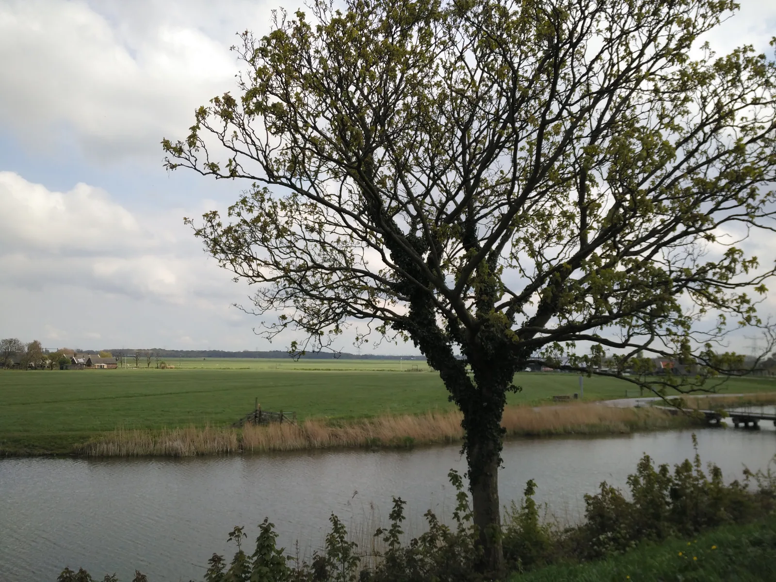 Photo from 28 April 2016