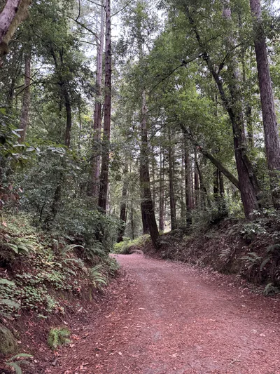 Aptos, United States — 22 October 2025