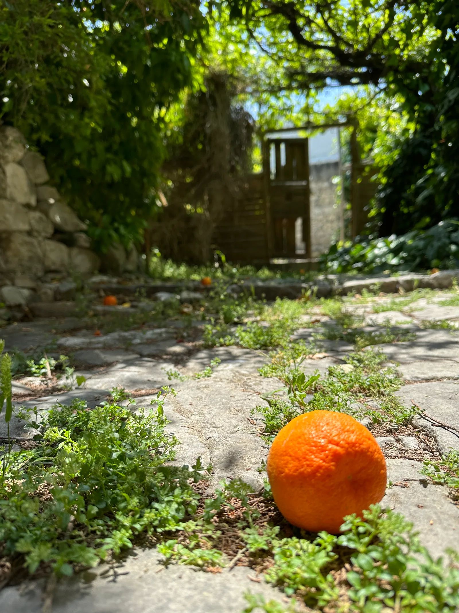 Peléndri, Cyprus — 14 May 2023