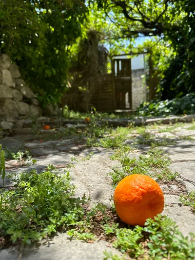 Peléndri, Cyprus — 14 May 2023