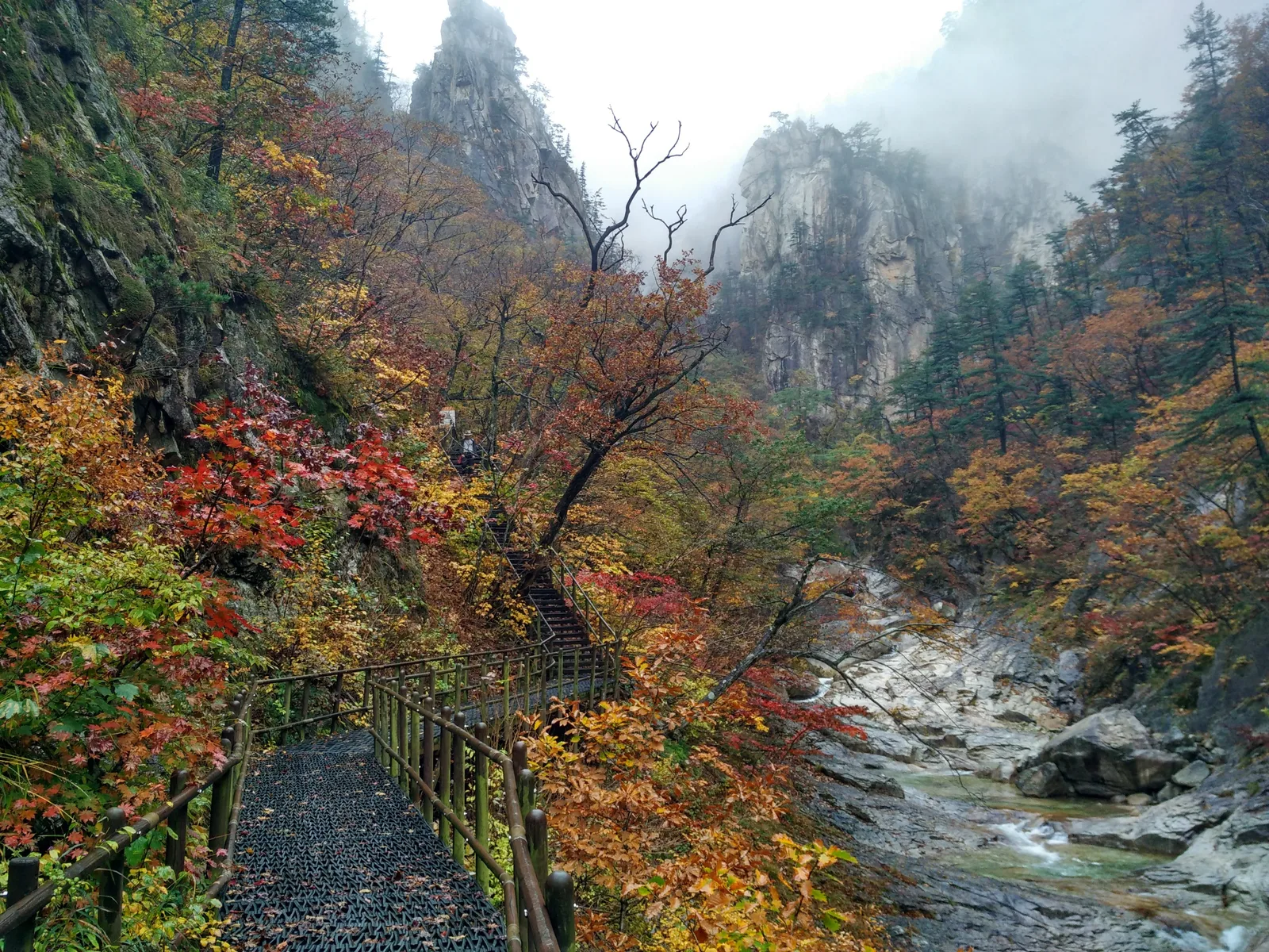 Sokcho, South Korea — 21 October 2016