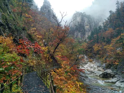 Sokcho, South Korea — 21 October 2016