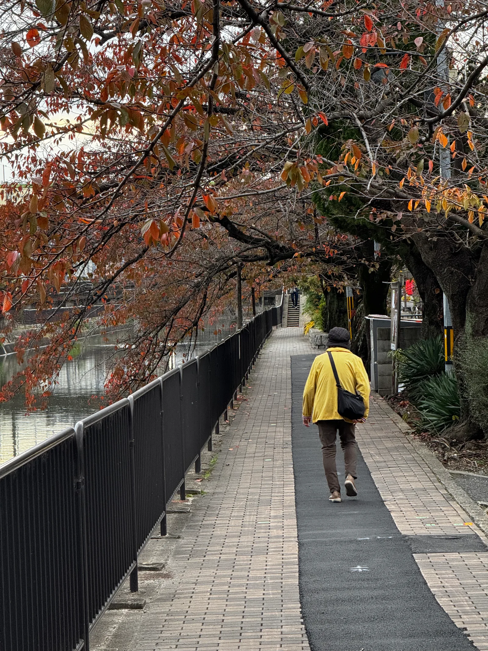 Mukō, Japan — 27 November 2024