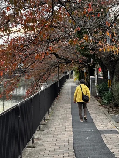 Mukō, Japan — 27 November 2024