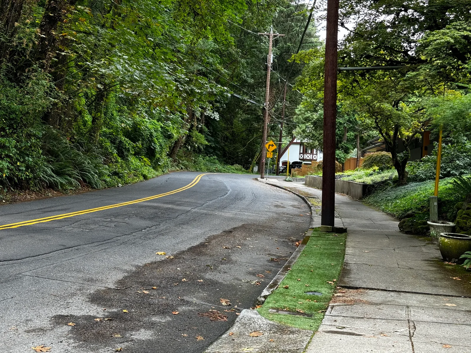 Portland, United States — 24 August 2024