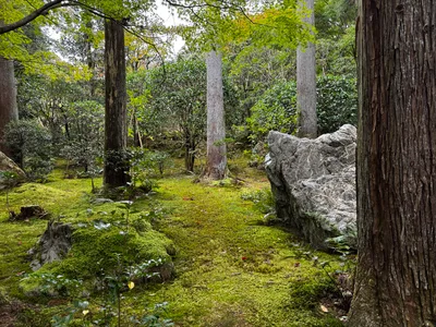 Kyoto, Japan — 24 November 2024