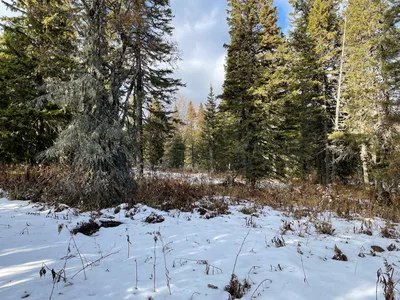 Trëkhgornyy, Russia — 16 October 2021
