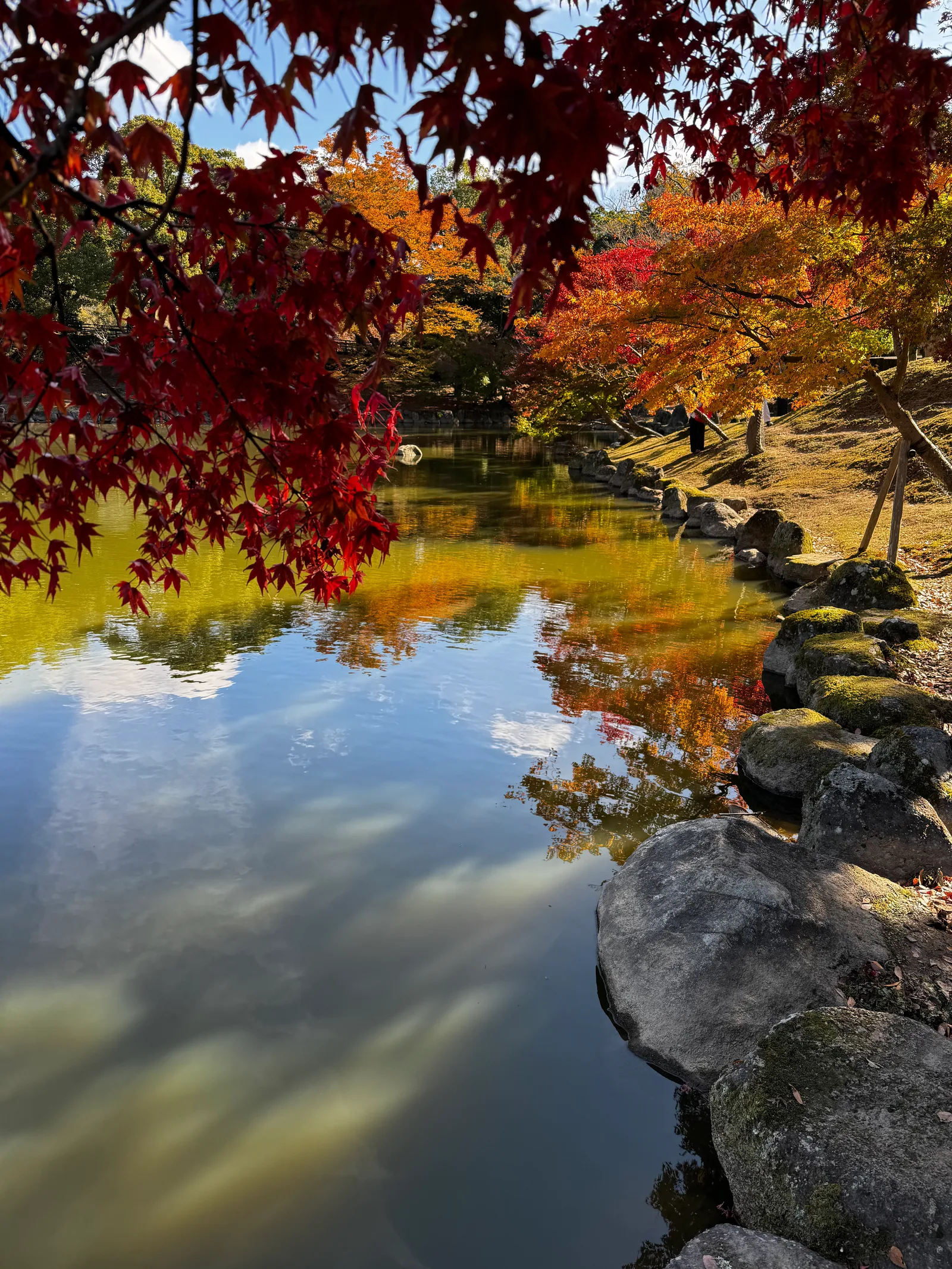 Nara-shi, Japan — 25 November 2024