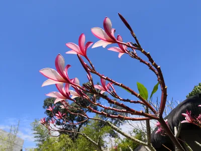 Photo from 23 February 2019