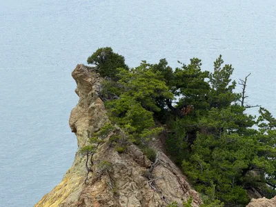 Nishina, Japan — 18 June 2026