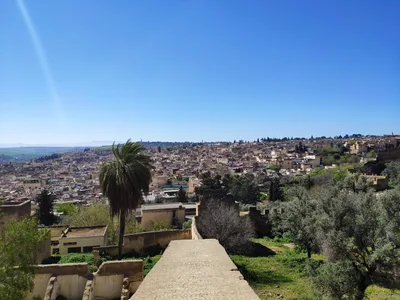 Photo from 14 March 2019