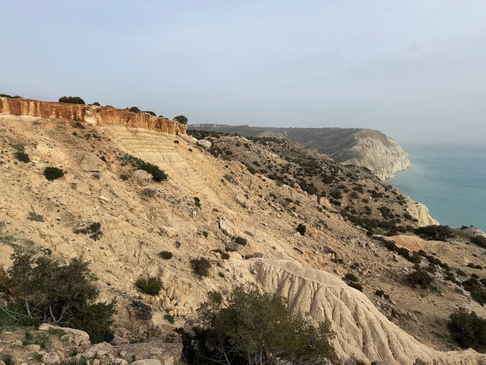 Pissoúri, Cyprus — 1 February 2026