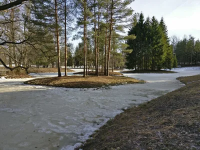 Pushkin, Russia — 7 April 2018