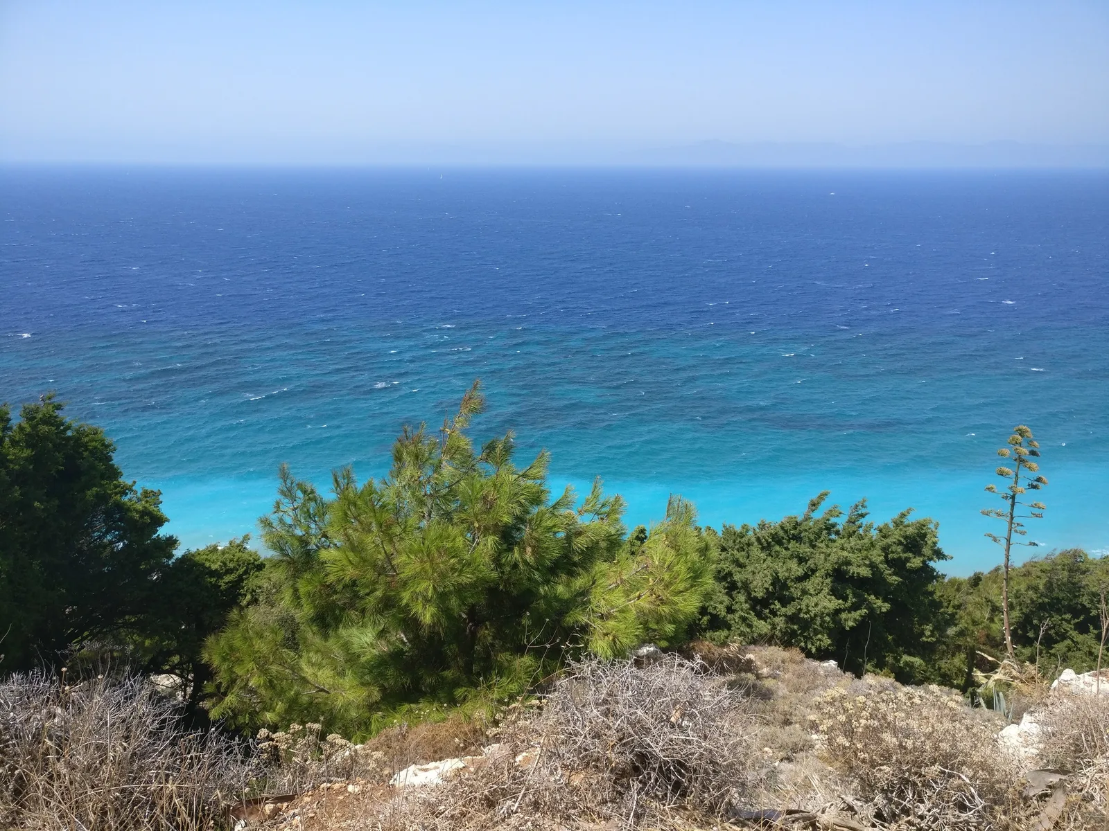 Photo from 13 August 2017