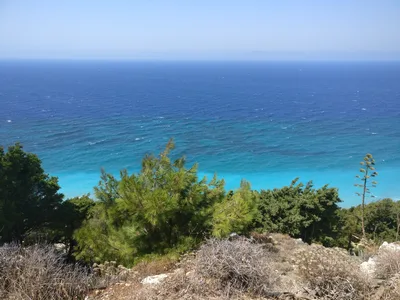 Photo from 13 August 2017