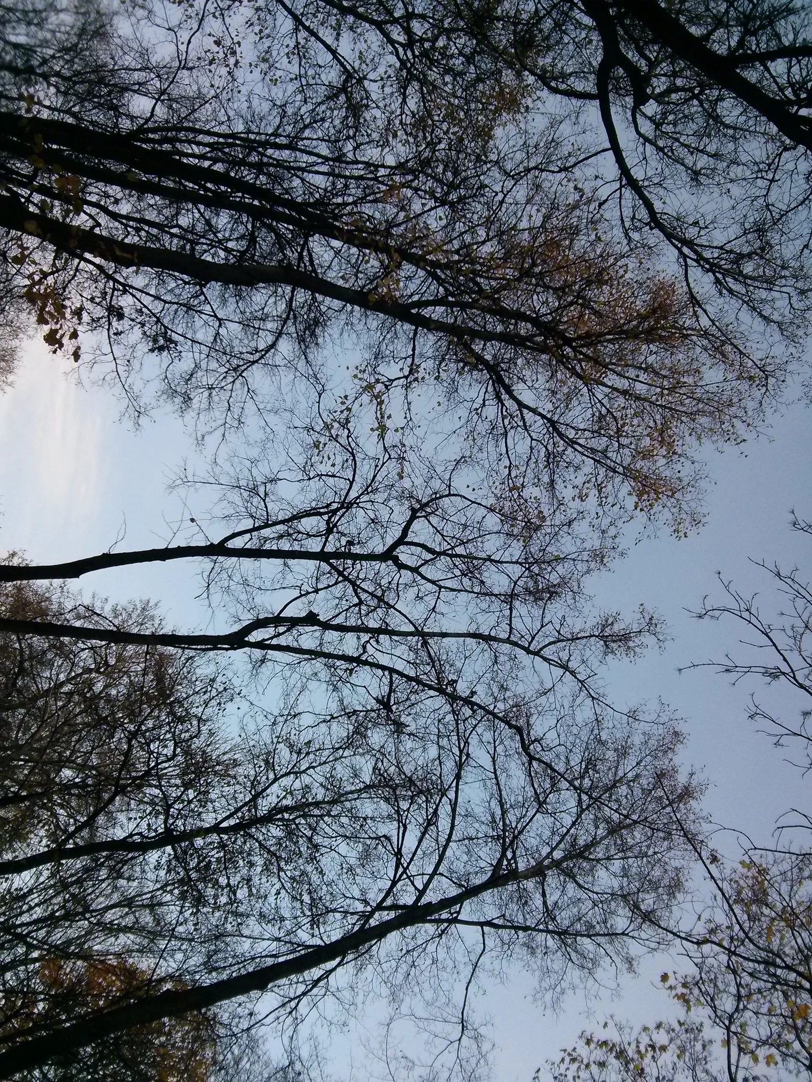 Photo from 12 October 2013