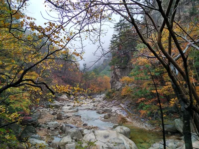 Sokcho, South Korea — 21 October 2016