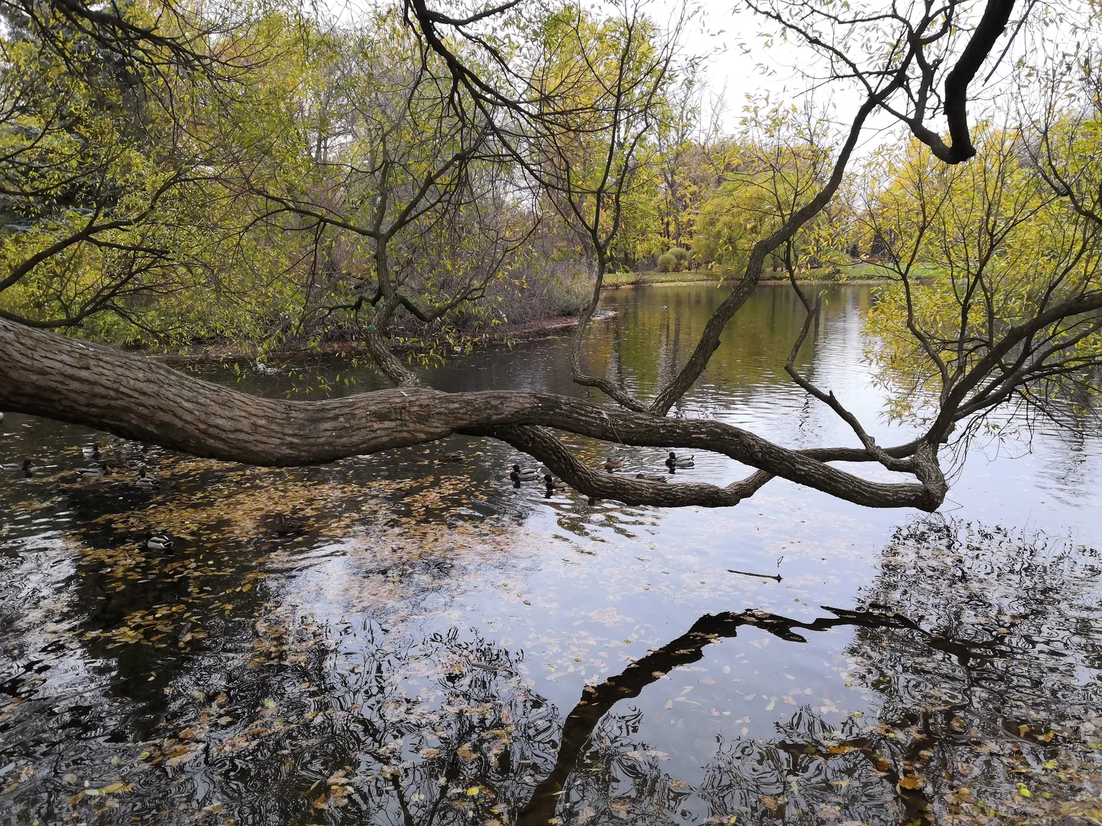 Admiralteisky, Russia — 20 October 2018