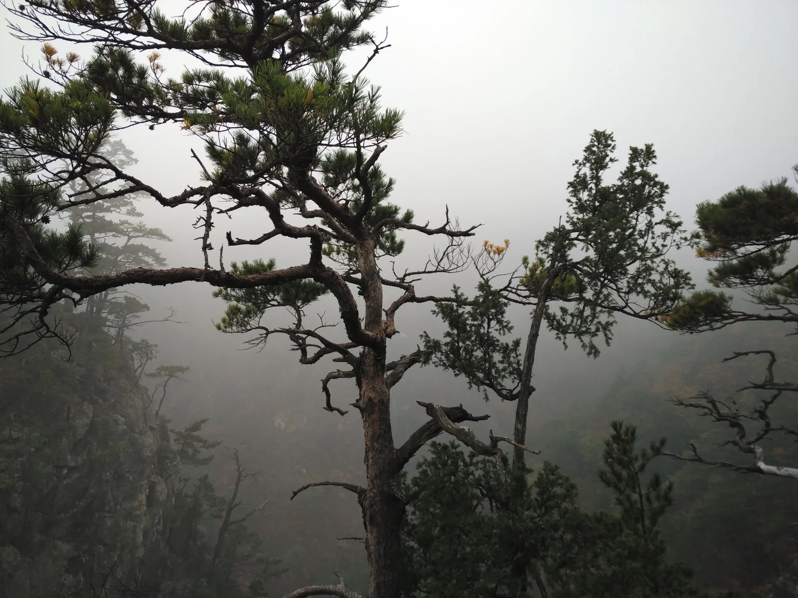 Sokcho, South Korea — 20 October 2016