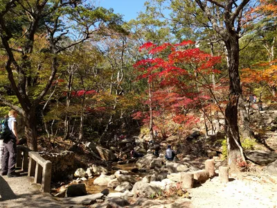 Sokcho, South Korea — 19 October 2016