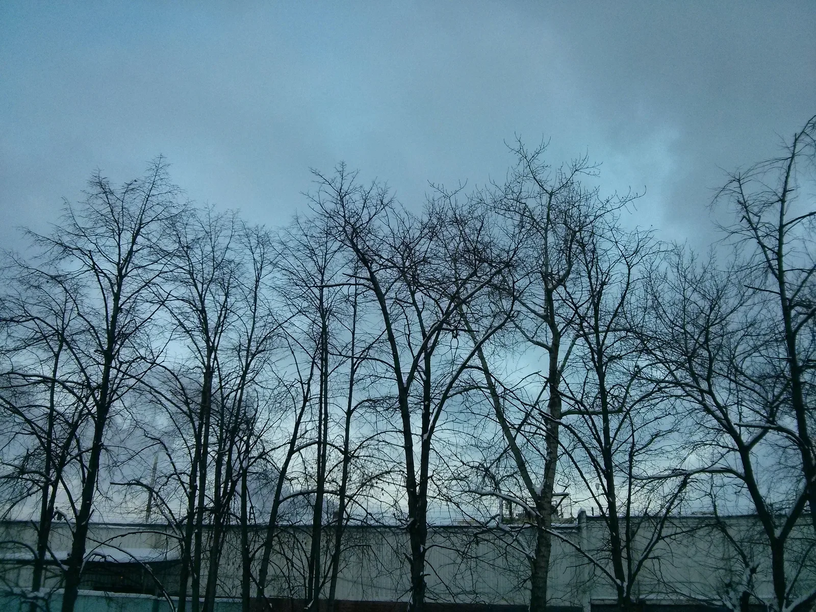 Photo from 10 December 2013