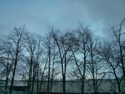 Photo from 10 December 2013