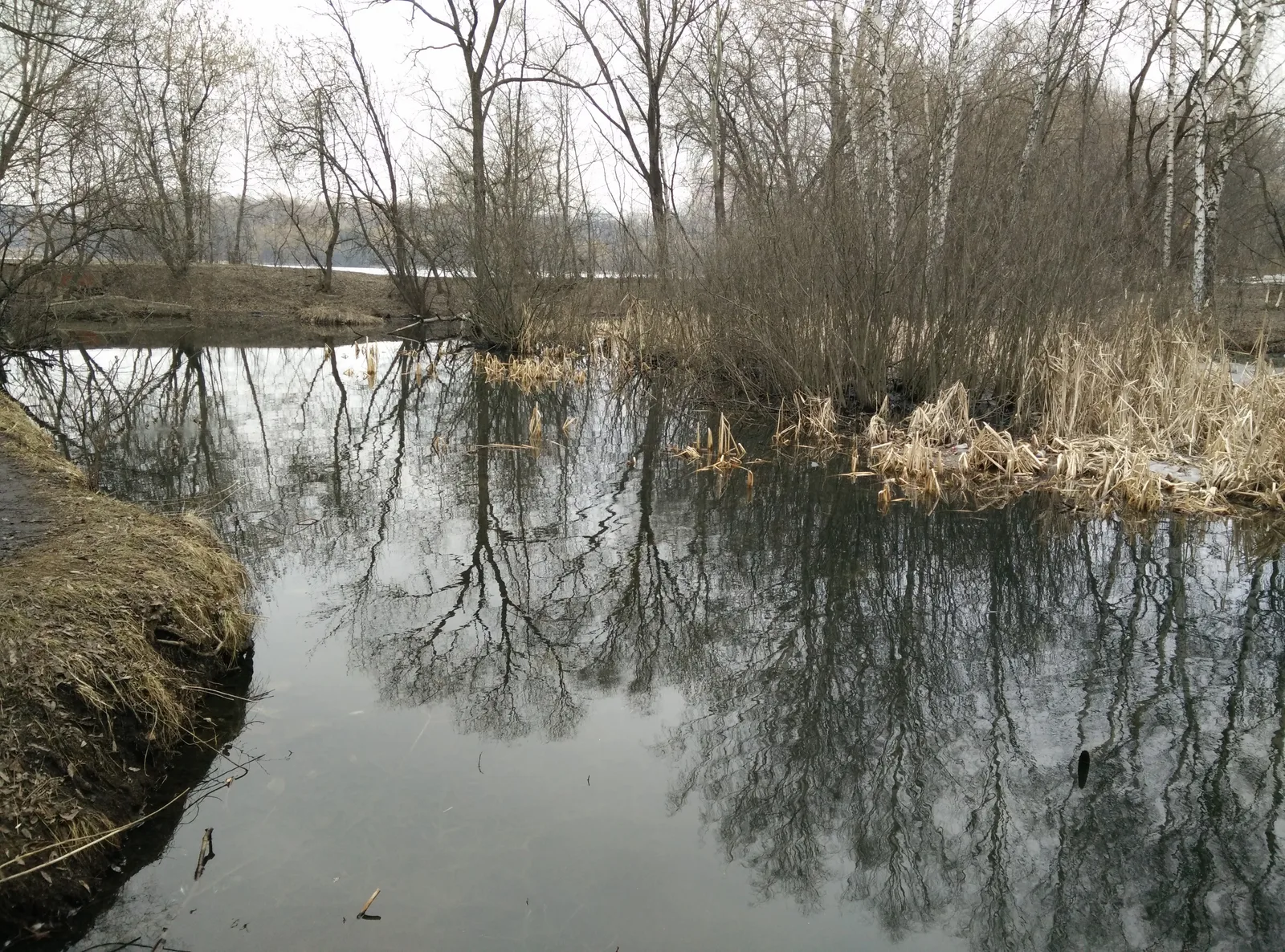 Photo from 21 March 2015
