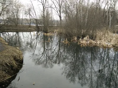 Photo from 21 March 2015