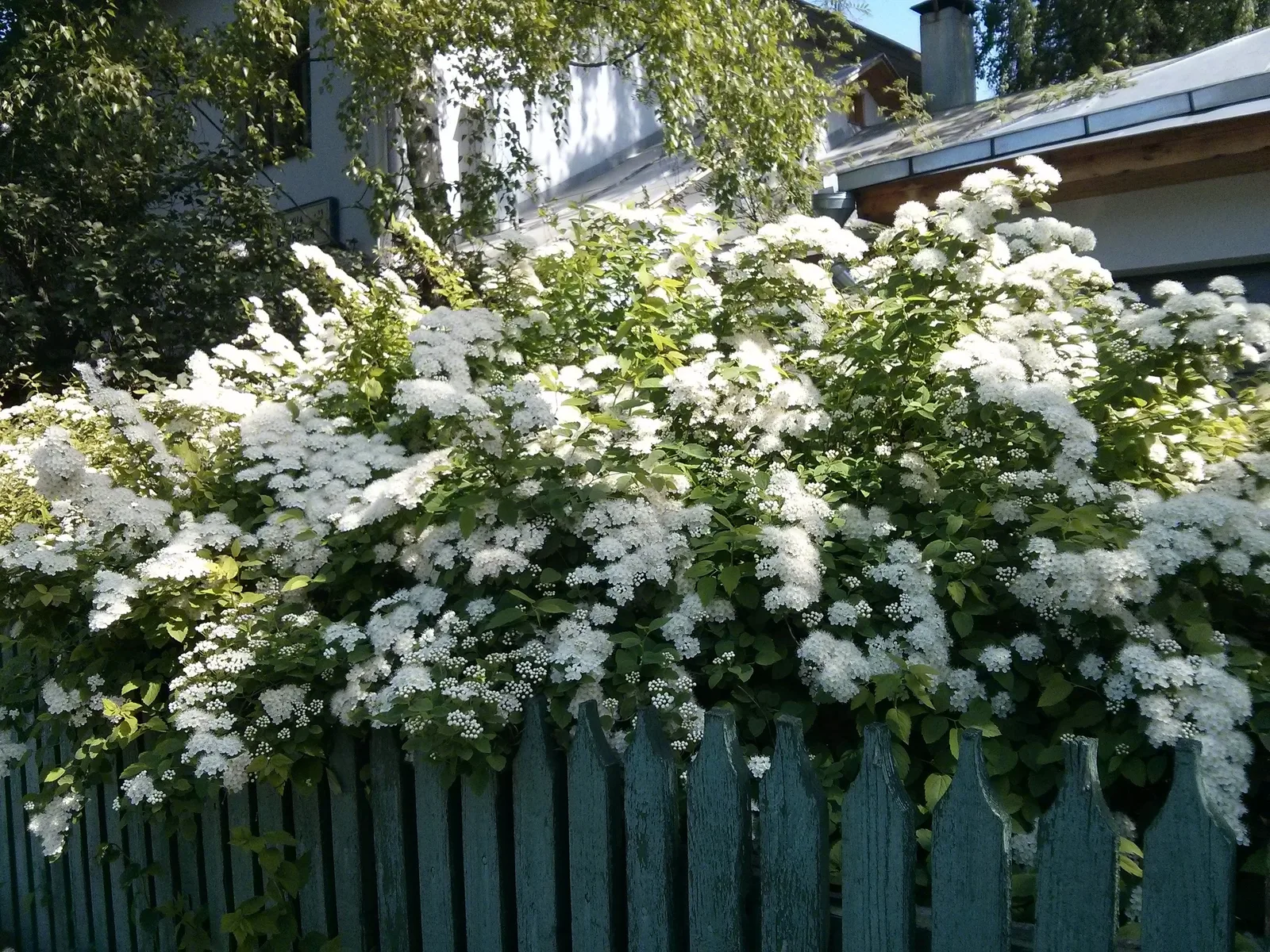 Photo from 18 May 2014