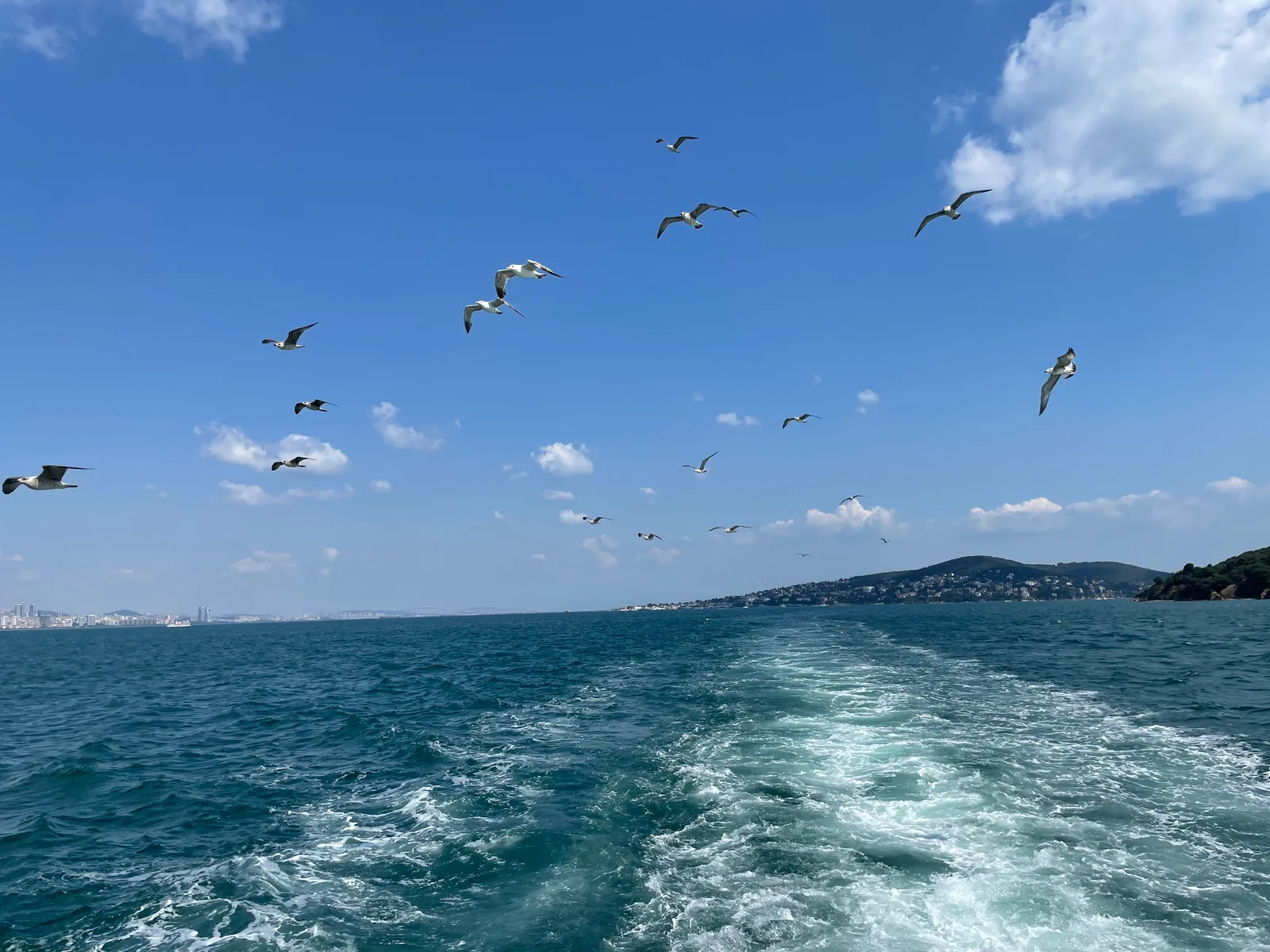 Heybeliada, Turkey — 26 July 2021