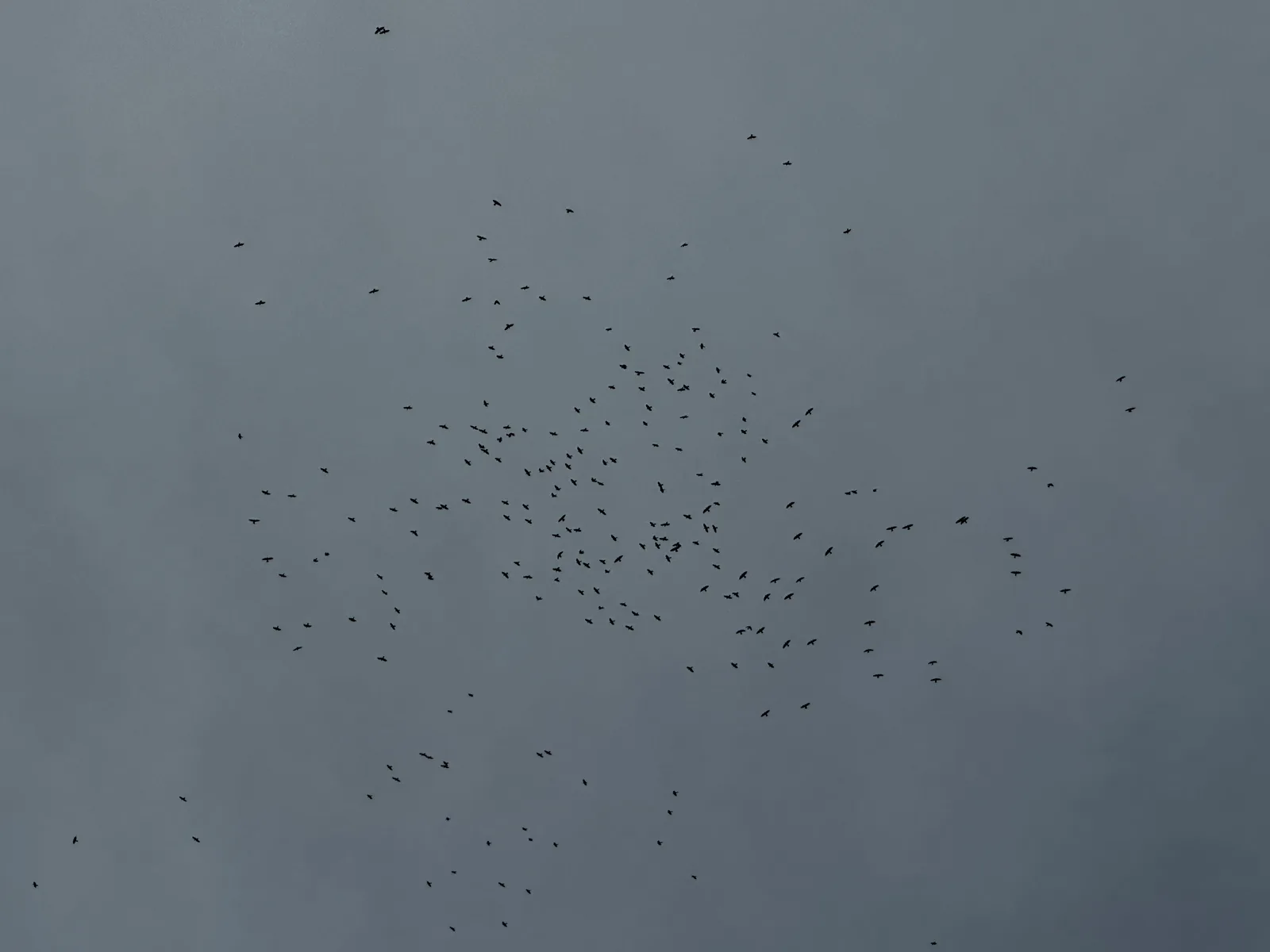 Peléndri, Cyprus — 3 March 2024