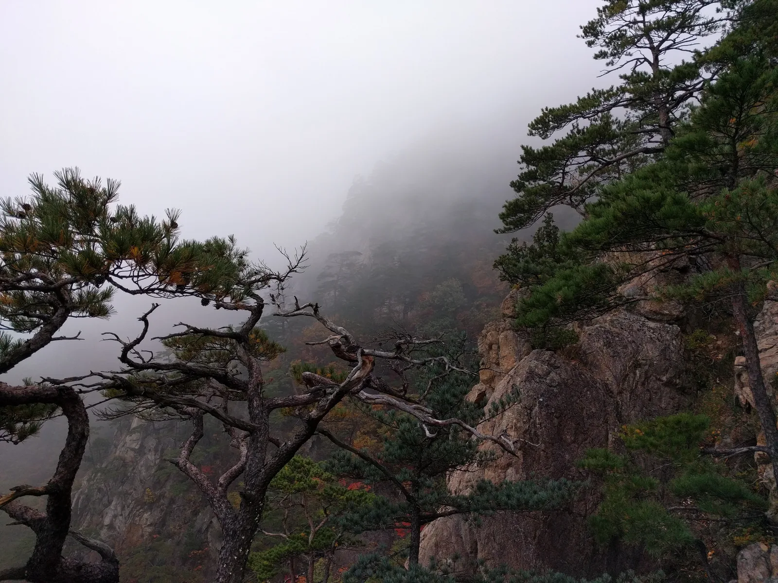 Sokcho, South Korea — 20 October 2016