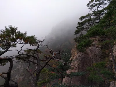 Sokcho, South Korea — 20 October 2016