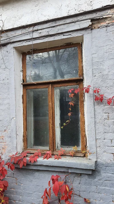 Koptëvo, Russia — 17 October 2020