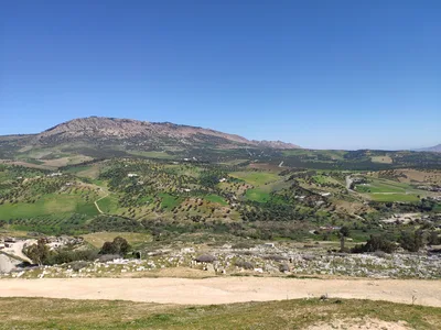 Photo from 14 March 2019