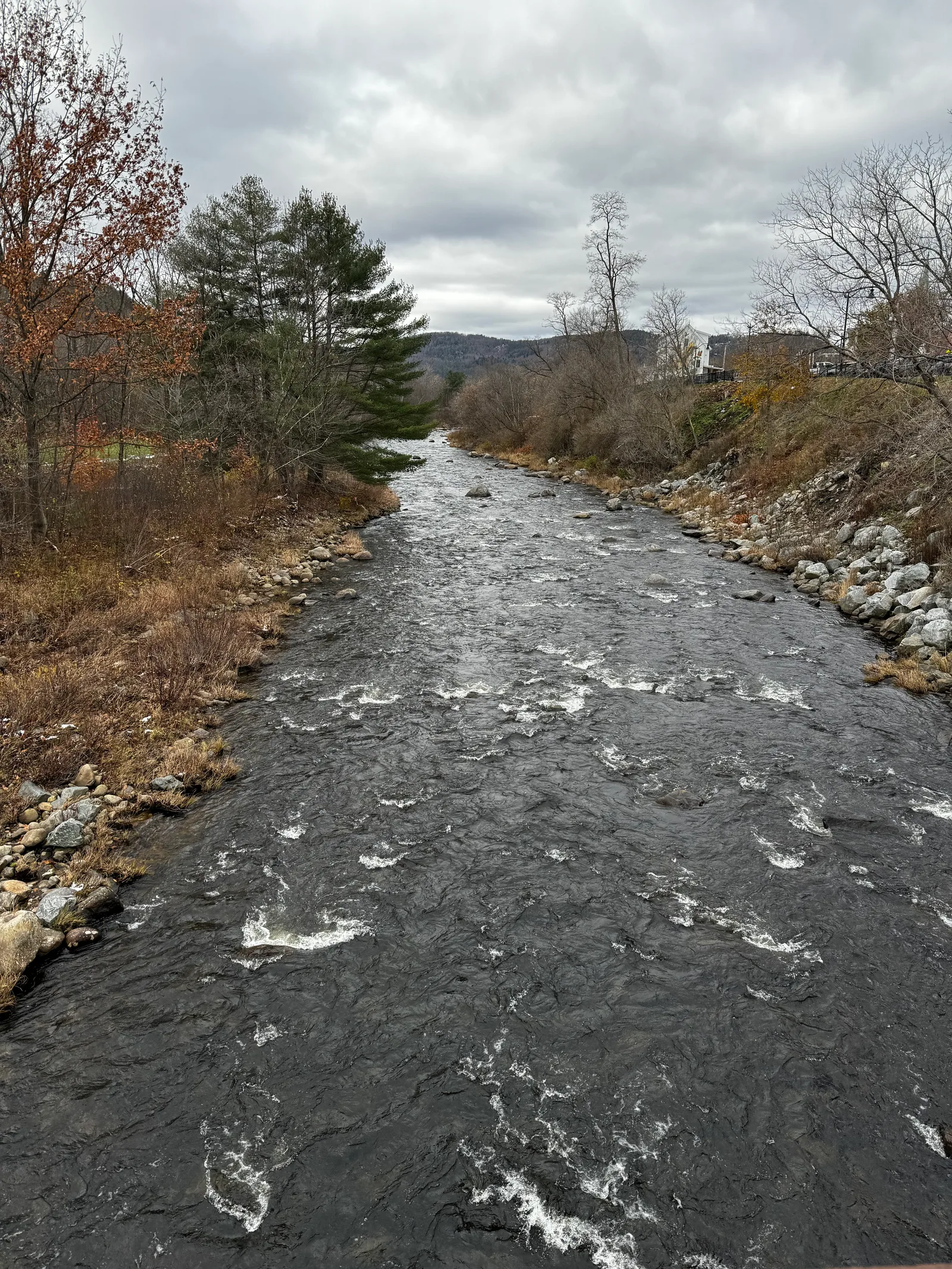 Littleton, United States — 11 November 2023