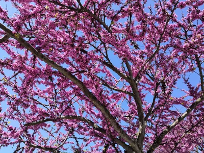 Photo from 22 March 2019
