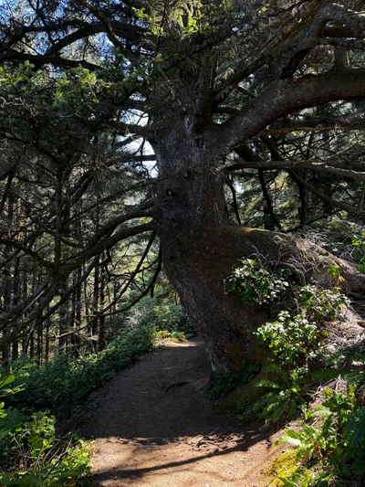 Waldport, United States — 26 August 2024