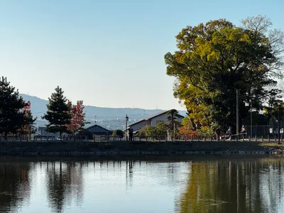 Nara-shi, Japan — 25 November 2024