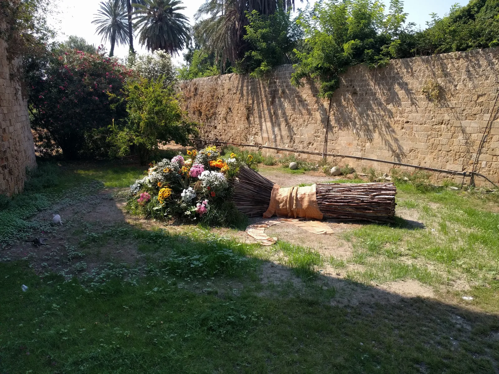 Photo from 9 August 2017