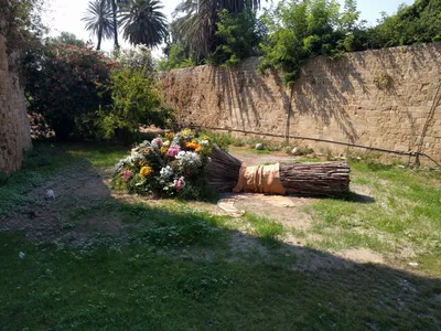 Photo from 9 August 2017