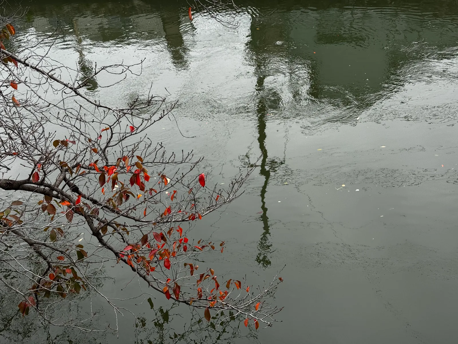 Kyoto, Japan — 27 November 2024