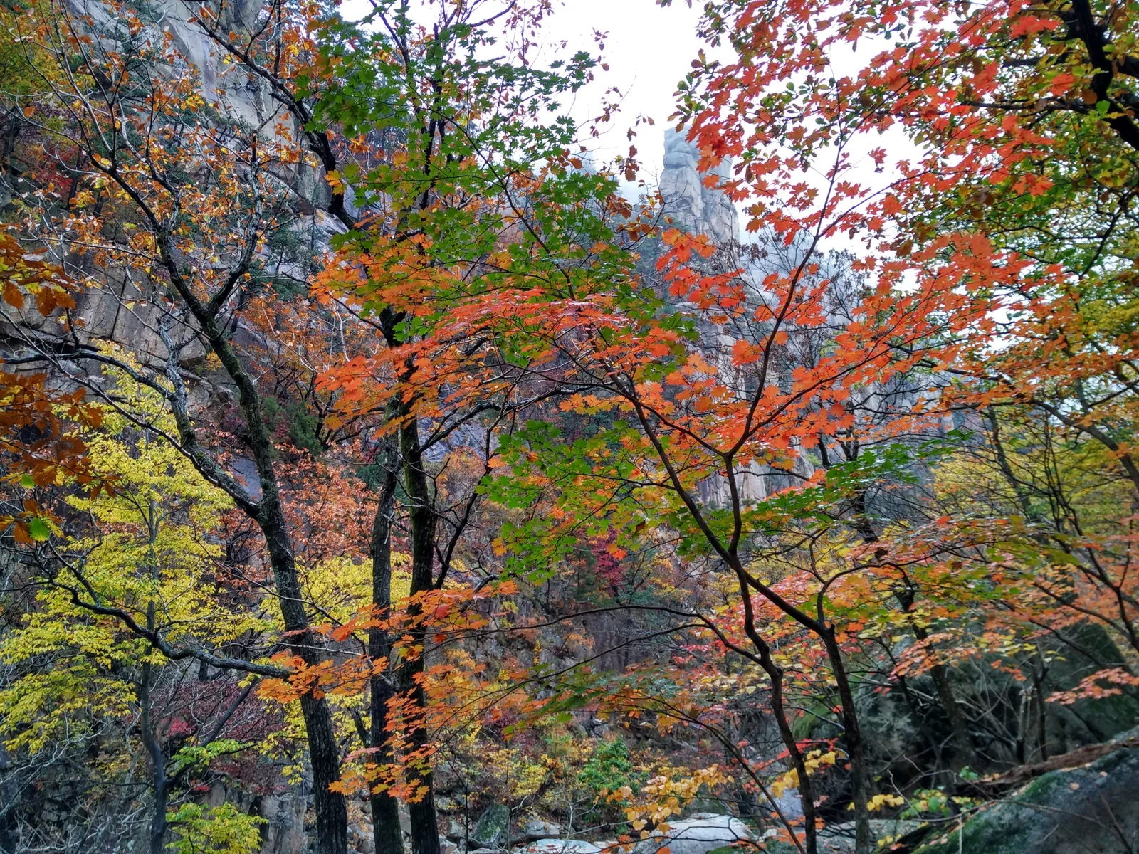 Sokcho, South Korea — 21 October 2016