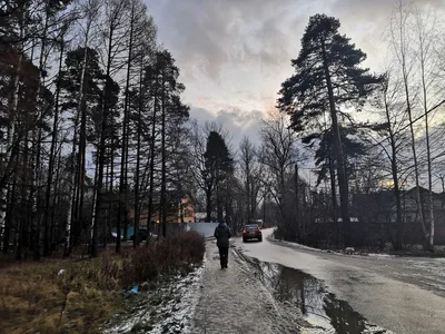 Photo from 30 November 2019