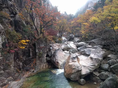 Sokcho, South Korea — 21 October 2016